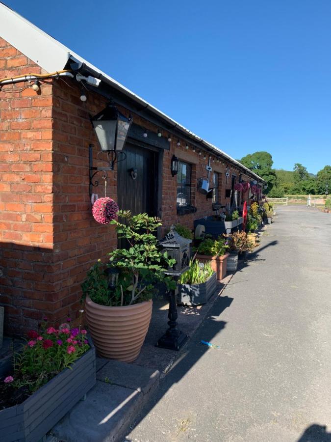 Dolafon Farm Luxury Glamping Cabin With Hot Tub St Asaph Eksteriør bilde